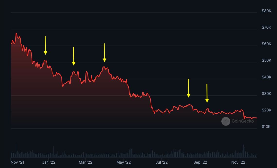 The bull market will not disappear until you no longer believe that this is a bull market. image 5