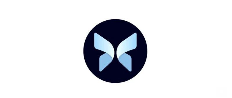 近期完成 5000 万美元融资的 Morpho，能否成为 DeFi 借贷赛道新巨头？