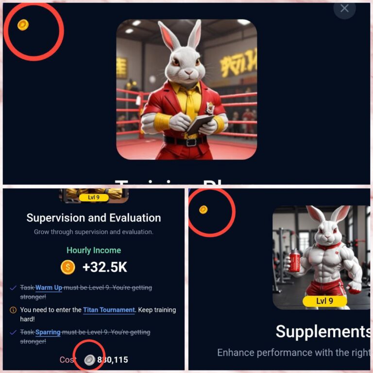 Rocky Rabbit Enigma and SuperSet Combo For September 10 image 1