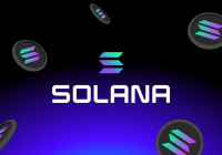 SOL价格稳住，资金流向揭晓：谁是生态赢家？
