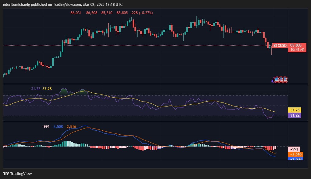 سعر البيتكوين يُظهر حماسًا صعوديًا مع تراجع الدببة عن هجومهم image 0