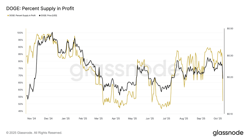Dogecoin-Crash: Die Mega-Chance für Krypto-Trader?