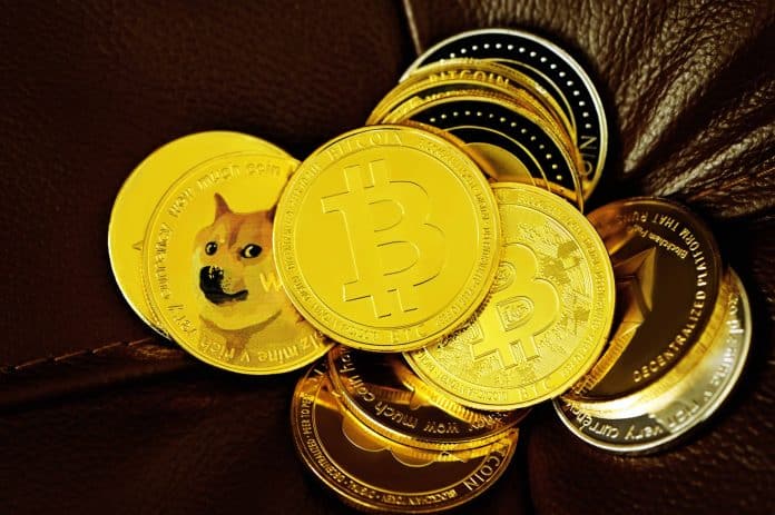 Bullrun beim Bitcoin und Dogecoin? Analysten erwarten weiteres Wachstum image 0