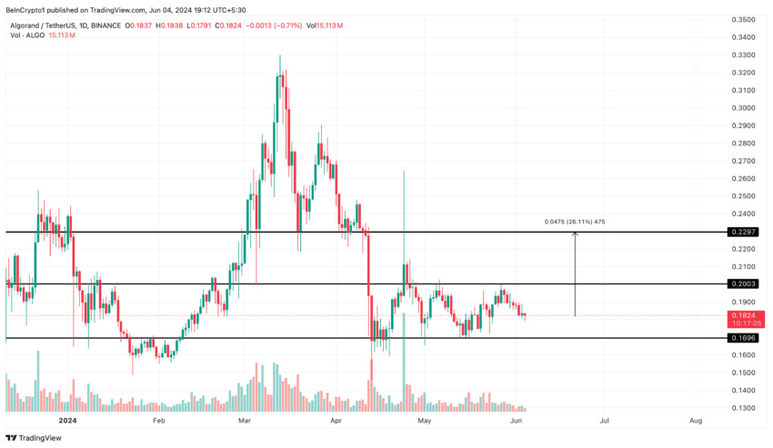 Только 9% инвесторов Algorand (ALGO) получают прибыль на фоне сильной уверенности владельцев image 1