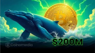 Wieloryb otwiera krótką pozycję na kolejne 400 BTC, łącznie zagrożone $209M