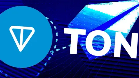 Seize the early dividends, a must-read guide for beginners to play with the TON ecosystem