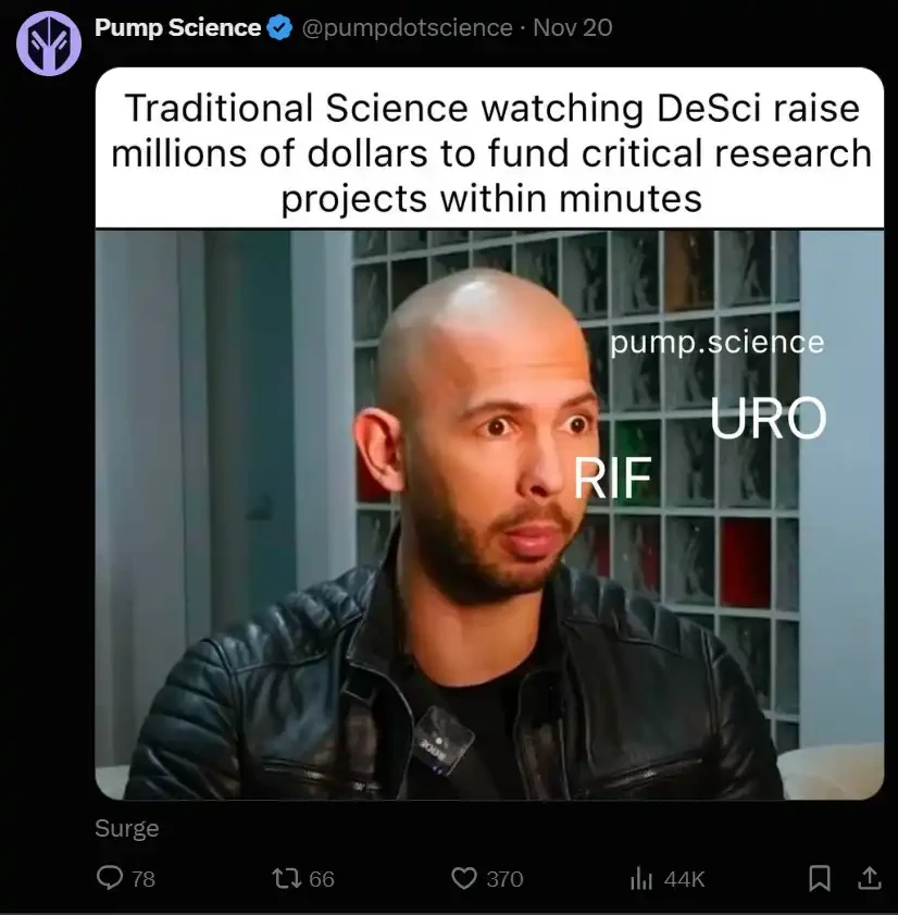 遍地都是千倍机会，最Degen的加密叙事都在发生什么？ image 10