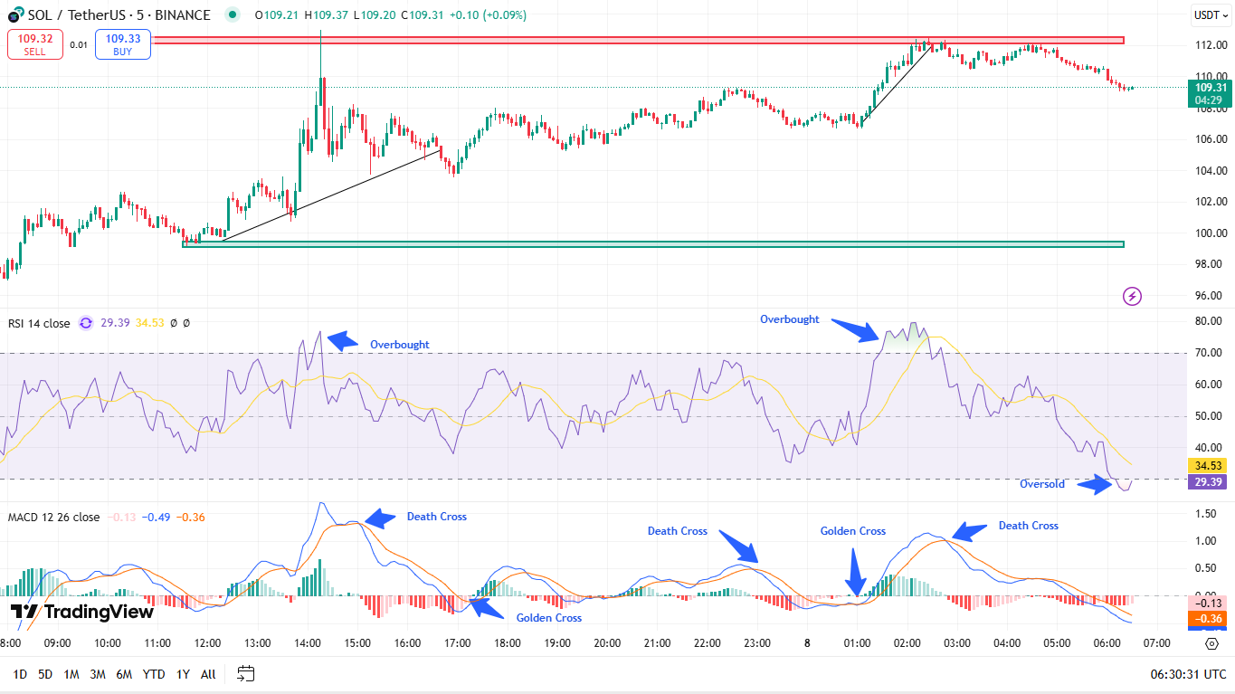 Solana (SOL) Faces Volatility: Is a Recovery on the Horizon? image 1