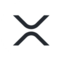 Bitwise начала подготовку к запуску XRP-ETF image 0