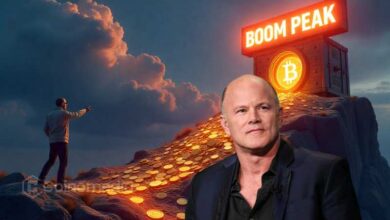 Crypto Treasury Boom Has Peaked, Says Novogratz