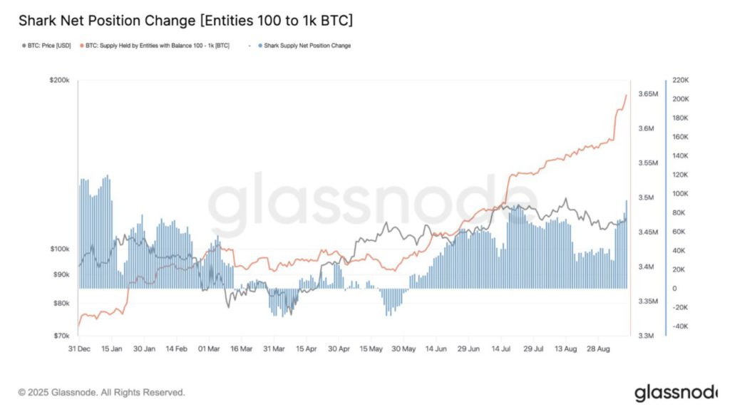 Harga Bitcoin Melonjak ke $115.000 Hari Ini (12/9/25): Kini Para Whale Sedang Borong BTC! image 1