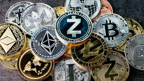 XRP or ADA: Which cryptocurrency is the better choice right now?