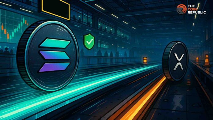 Las Carteras Activas Diarias de Tron alcanzan un máximo histórico en medio de la creciente actividad de Stablecoin