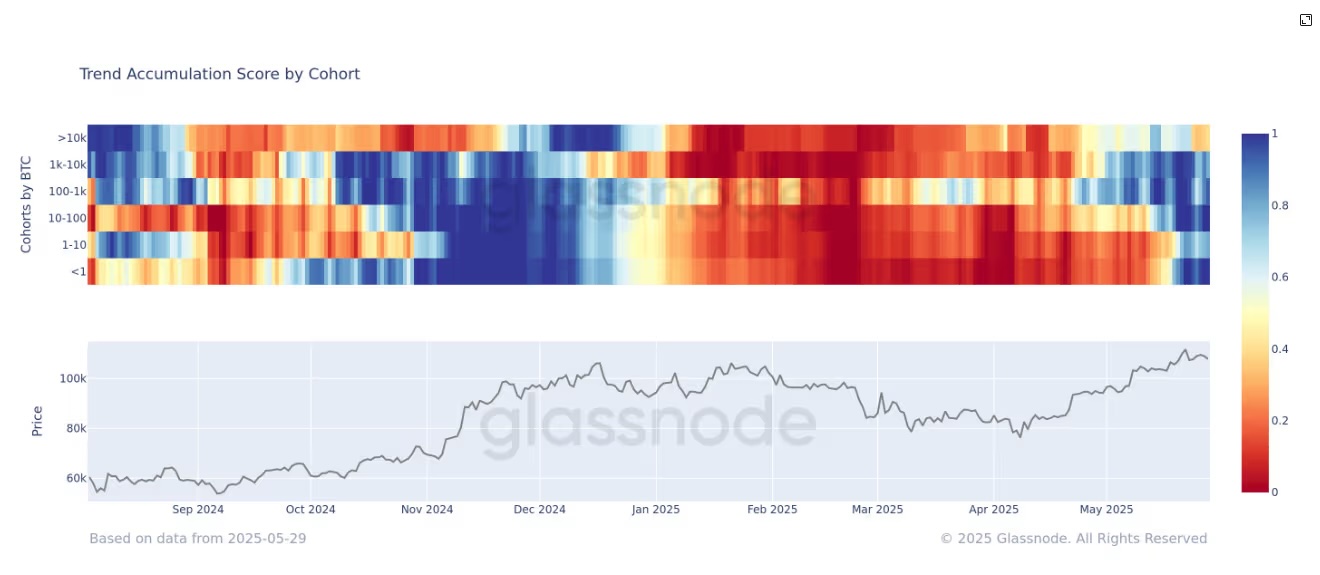 Bitcoin Whales Flash Top Signal, BTC Price Needs to Hold This Support image 0