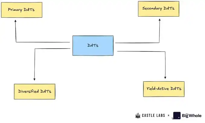 MSTR has been rated as B grade, is DAT company still worth knowing and investing in? image 1