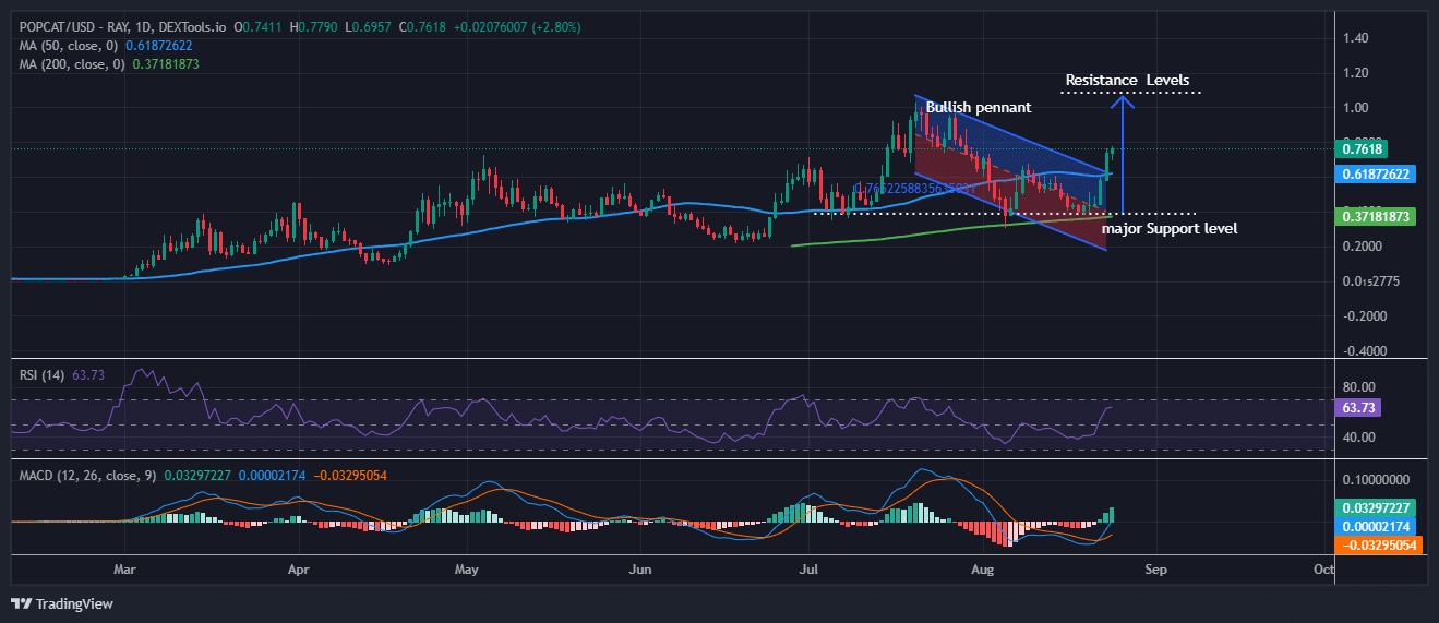 Is It Too Late To Buy POPCAT? Popcat Price Surges 25% And This Might Be The Next Crypto To Explode image 1