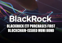 BlackRock ETF Purchases First Blockchain-Issued Muni Bond