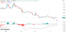 Dogecoin Whales Accumulate Over $128M, Bullish Predictions Emerge image 1