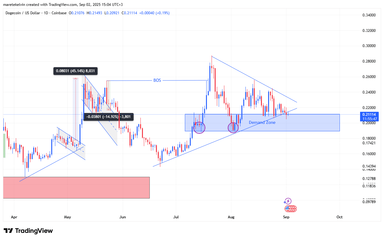 Dogecoin May Face Breakout or Pullback After Volume Spike, Market Cap Rises to $31.7B image 0