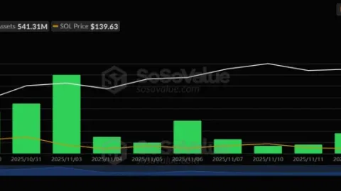 Ціна Solana впала до $140, чи наступним кроком стане падіння до $134?