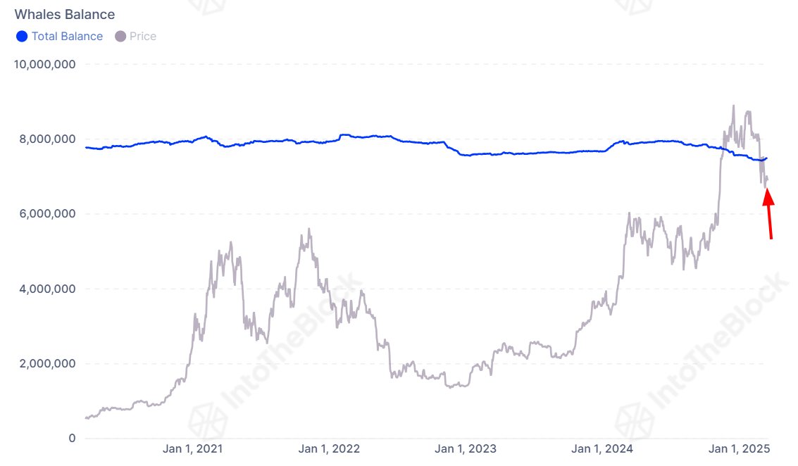 One Crypto Sector Shattering $220,000,000,000 Market Cap Could Spark Next Market Upswing, Says IntoTheBlock image 2