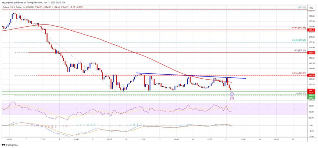 Analisis Teknis Harga Solana (SOL): Tren Bearish di Level Kritis (14/1/25) image 0