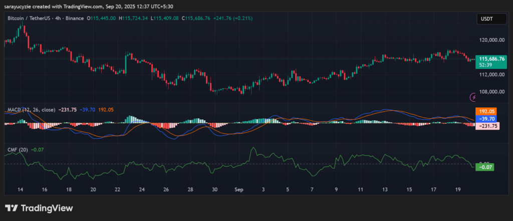BTC in the Crosshairs: Could Bitcoin Bears Drag the Price Below $115K? image 0