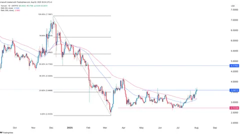 Toncoin price soars as cryptocurrencies crash, here’s why