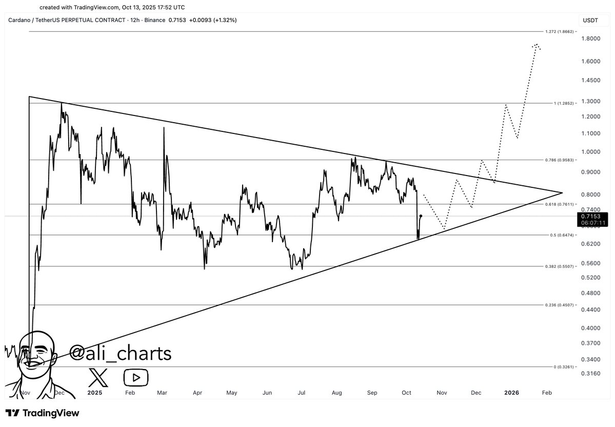 350,000,000 ADA Liquidated by Cardano Millionaires While ADA Price Pattern Points to 100% Rally