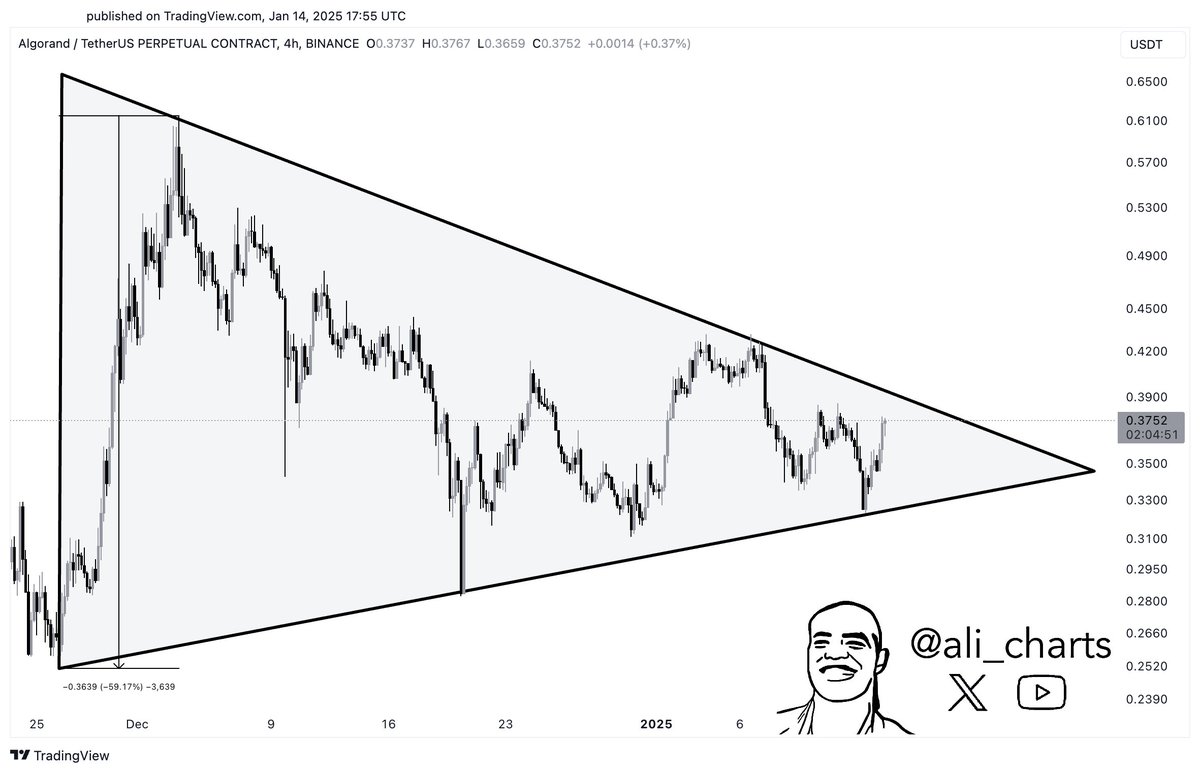 分析师表示，排名前十的Altcoin具有大规模的看涨设置，为Polygon，Ethena和Algorand绘制了前进的道路 image 3