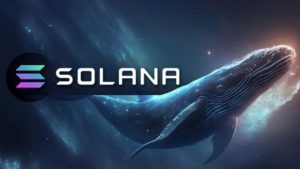 Harga Solana Sentuh Titik Terendah 6 Bulan, Whale Crypto Mulai Borong SOL!