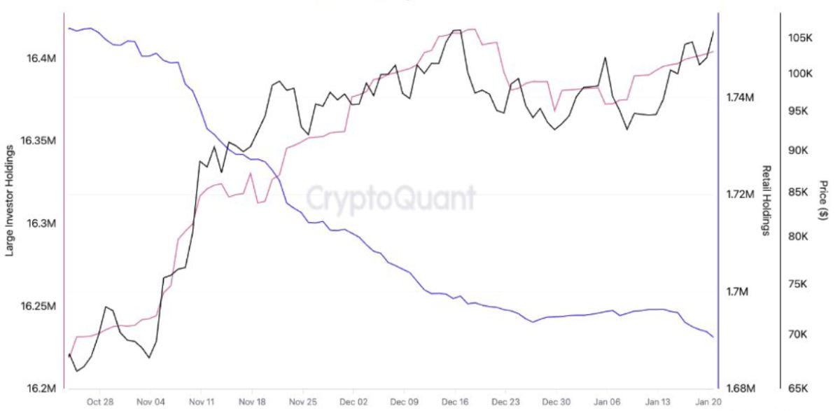 Bitcoin is only rising in price thanks to large investors image 0