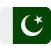 Pakistan Follows US Lead with National Strategic Bitcoin Reserve Initiative image 0