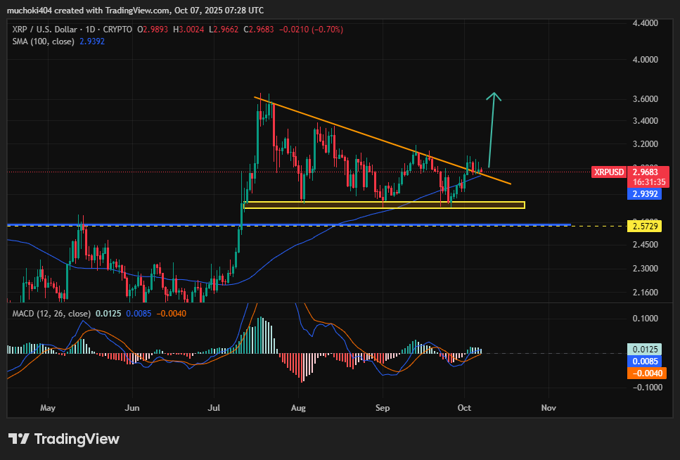 La peur des détaillants augmente dans le XRP, et c’est généralement à ce moment-là que les rallyes commencent image 3