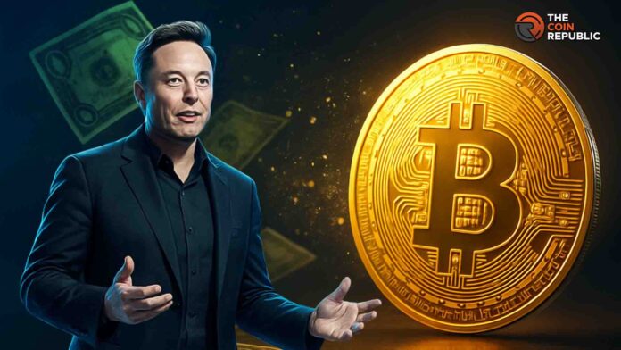 Может ли цена биткойна (BTC USD) вернуться к 120 тыс. долларов при поддержке Элона Маска?