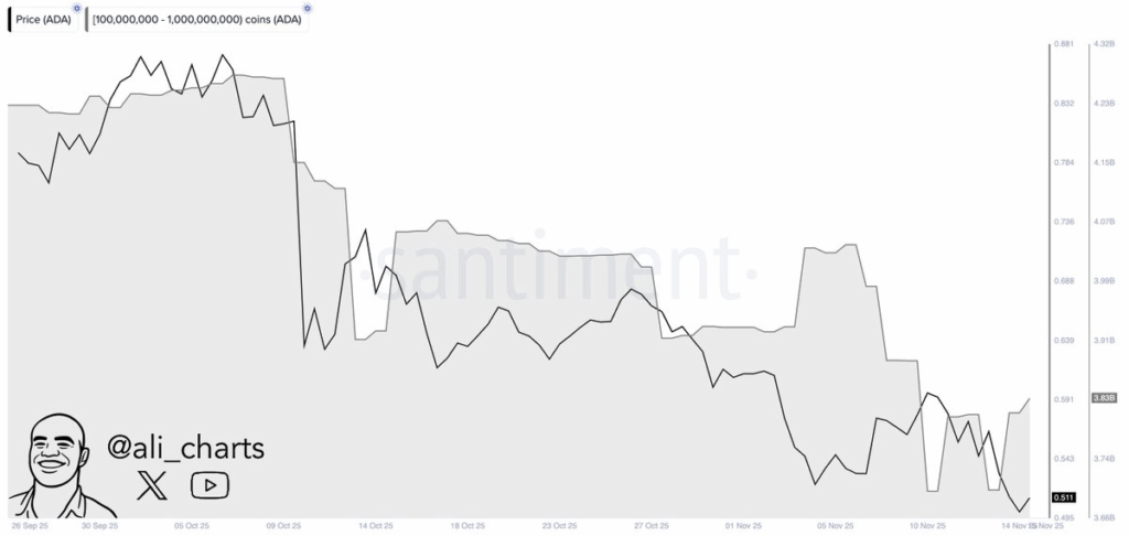 El precio de Cardano podría subir un 12% si esta señal supera la descarga de la ballena de 216 millones de dólares image 1