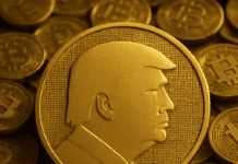 TRUMP-Memecoin-ETF: Politischer Krypto-Token vor historischem Börseneinzug