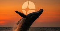 Whale opens 3x long on Aster with $500K USDC deposit into HyperLiquid