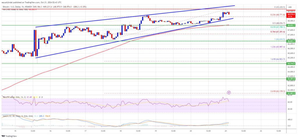 Harga Bitcoin Meroket! BTC Berpotensi Tembus Rp1,08 Miliar, Bulls Bersiap di Level Kritis image 0