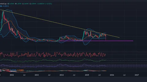 Wieloryby Cardano sprzedają 350 mln ADA po spadku ceny o 15%. Co dalej?
