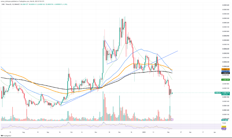 Tin vắn Crypto 06/02: Bitcoin có thể sụp đổ thêm 25% nếu mất mức hỗ trợ quan trọng cùng tin tức Ripple, SHIB, Solana, IOTA image 3