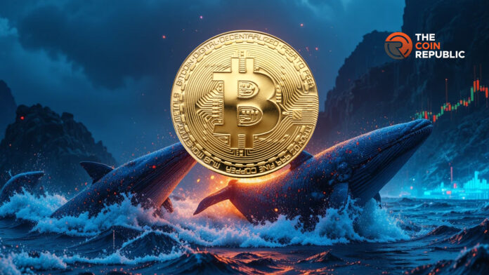 عودة الثقة في سوق البيتكوين، وهذه الإحصائية غير المعتادة للعملة المستقرة تثبت ذلك