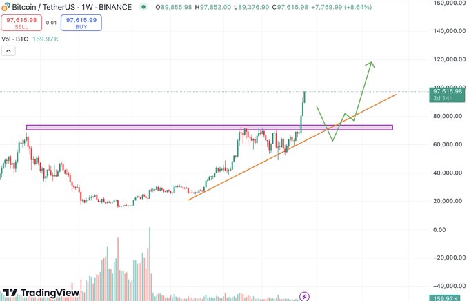 比特币冲刺 $100k，Altcoins 何去何从？市场表现与策略解析 image 1
