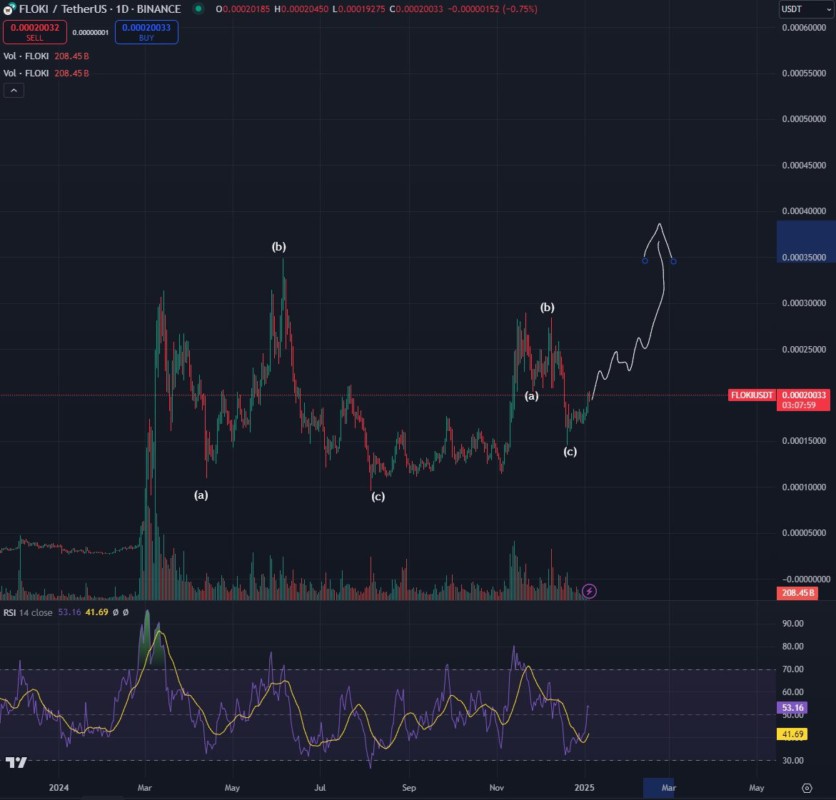 FLOKI Siap Meroket: Analis Prediksi ATH Baru untuk Memecoin Terkemuka (9/1/25) image 0