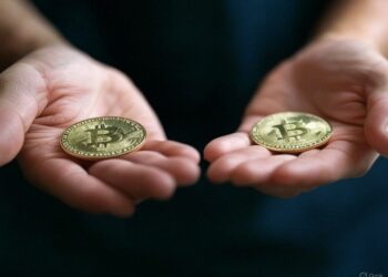 Vanadi añade 5 bitcoin a su tesorería