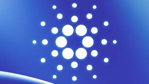 Cardano переходит к децентрализованному управлению с запуском хардфорка Chang