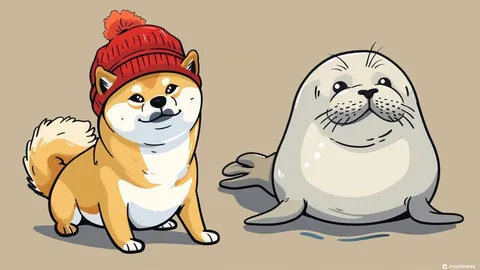 Solana Meme Coin Prices Surge – Dogwifhat Up 20%