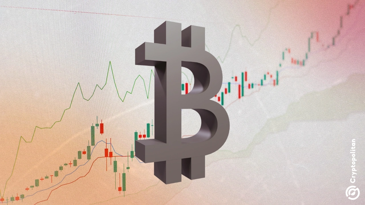 随着交易所持有的USDT余额激增，比特币杠杆率下降