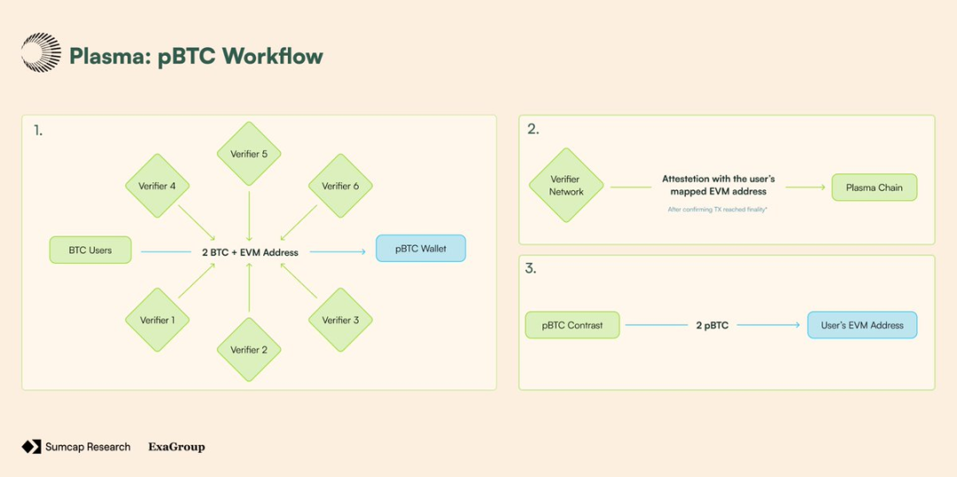 深入分析：Plasma 憑何改變鏈上支付格局？ image 10
