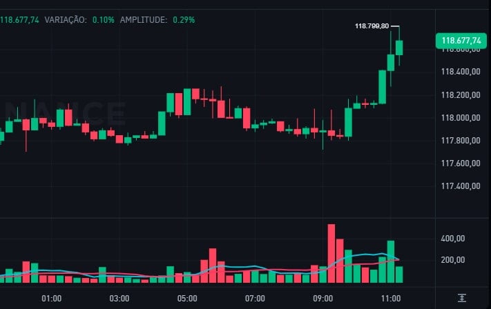 Bitcoin Stabilizes at $118 While Litecoin Soars 16%